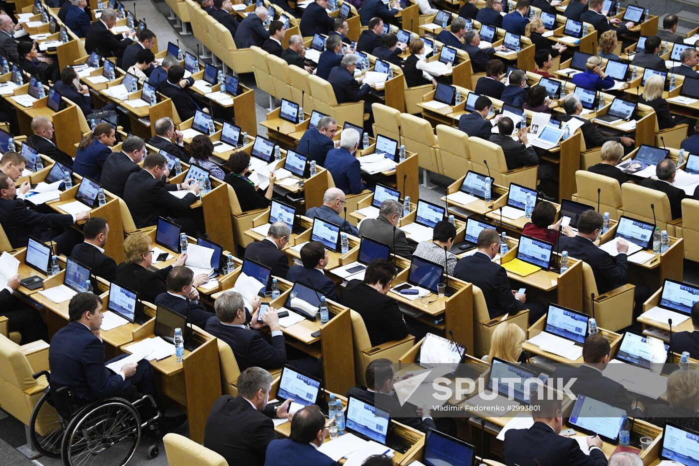 State Duma plenary meeting