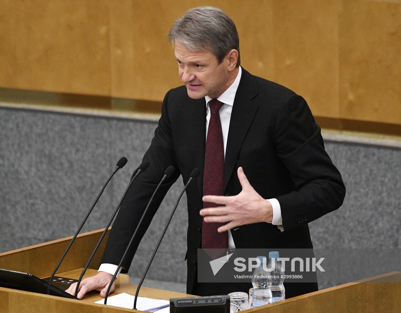 State Duma plenary meeting