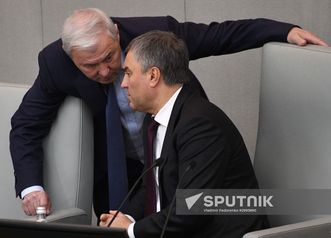 State Duma plenary meeting