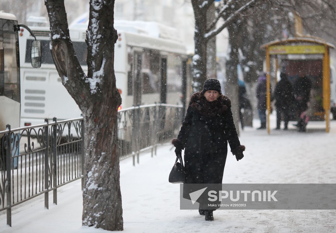 Winter in Crimea