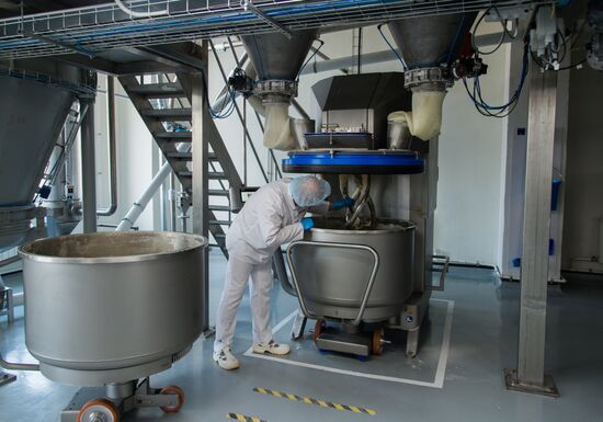 Production of cookies by Kellogg Russia factory in Voronezh