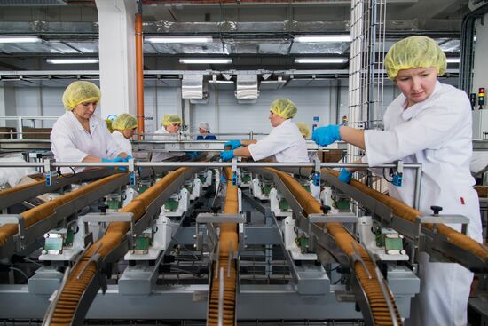 Production of cookies by Kellogg Russia factory in Voronezh