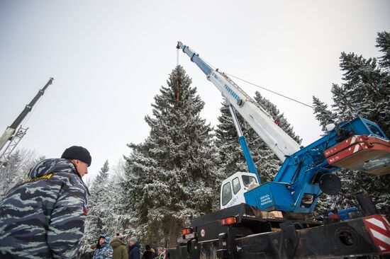 Cutting Russia's main New Year's tree down