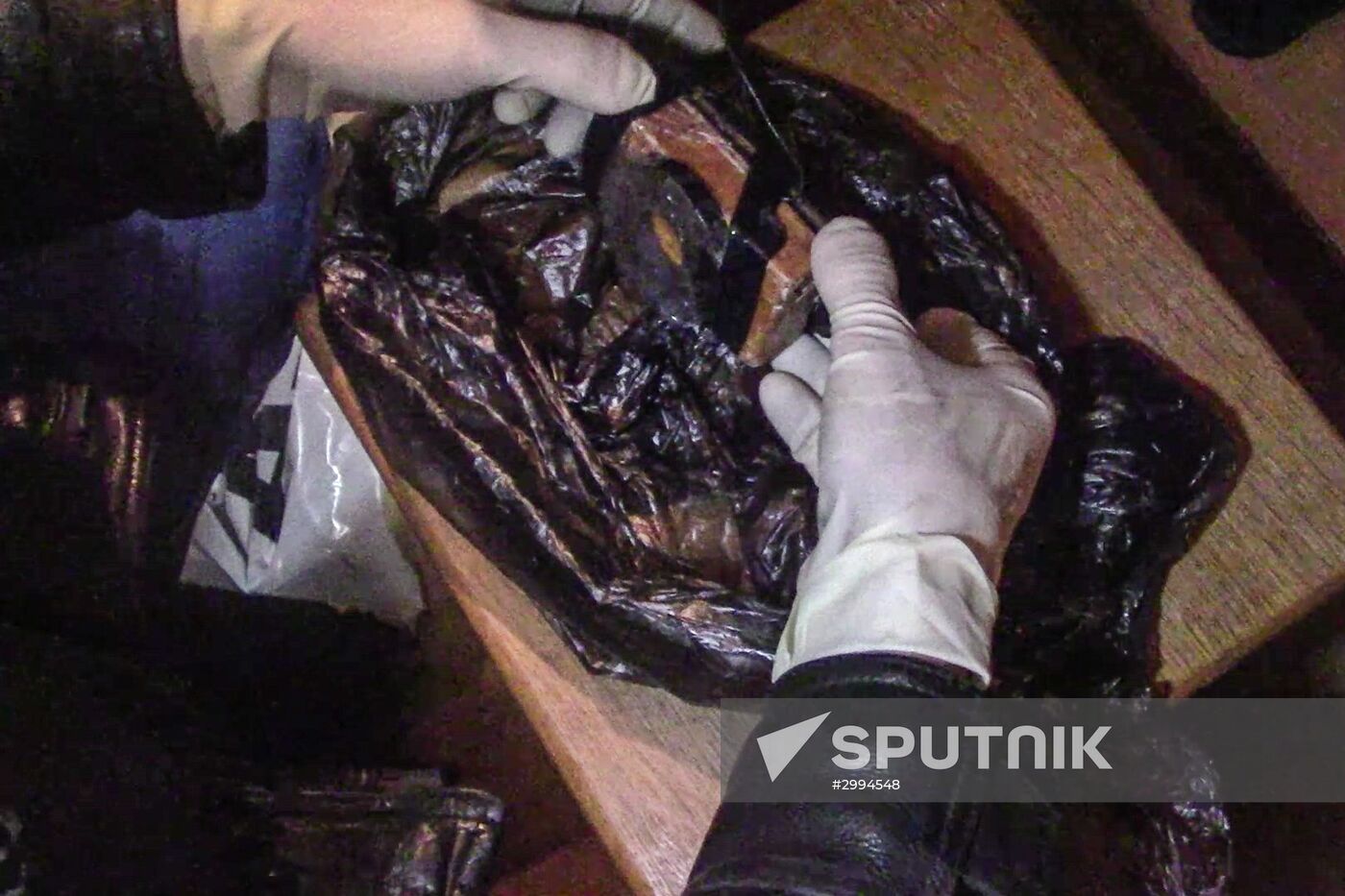 Russia's Federal Security Service detains terrorist group members