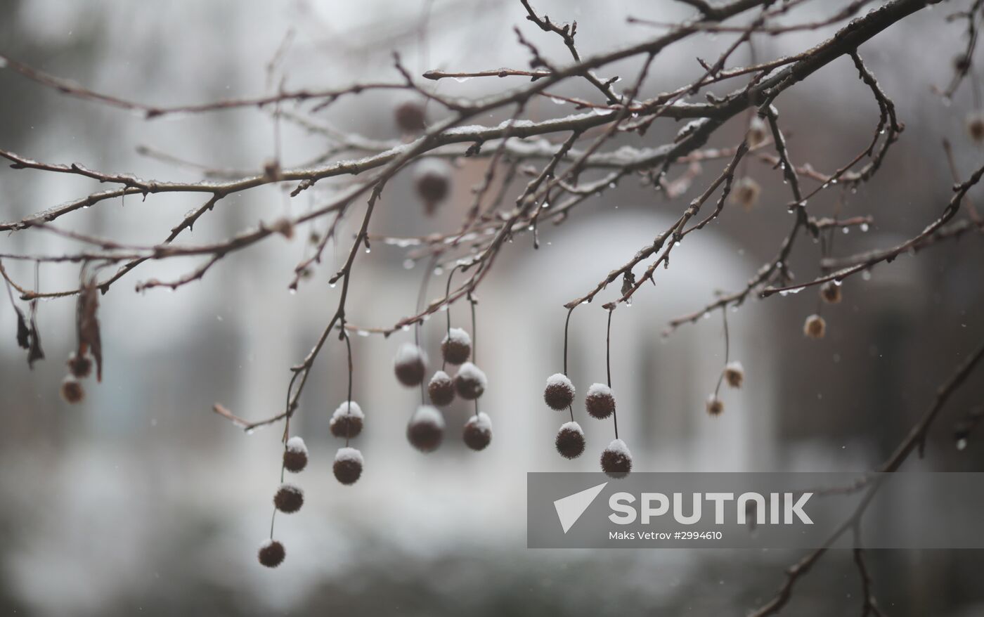 Winter in Crimea