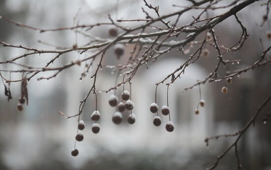 Winter in Crimea