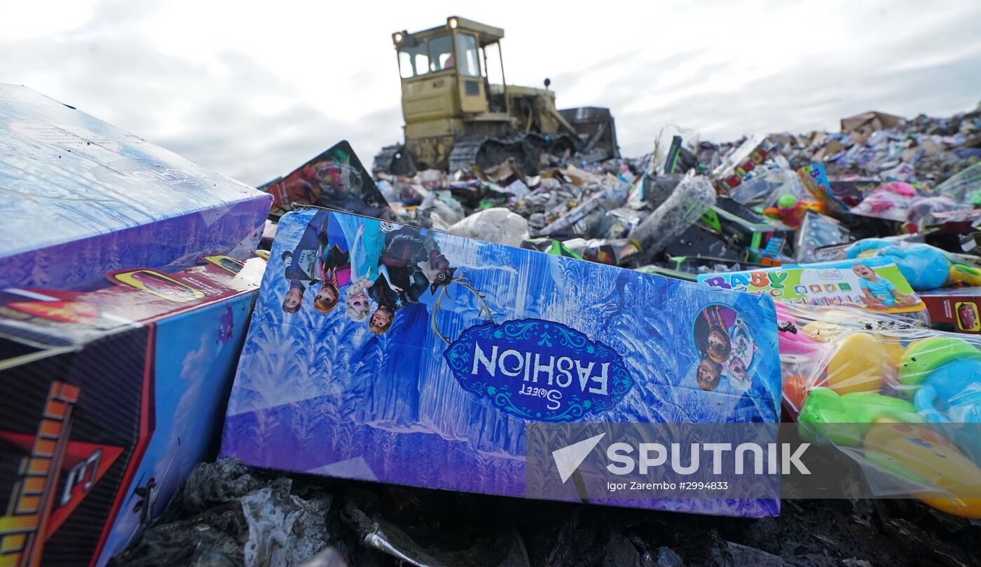 Counterfeit toys destroyed in Kaliningrad Region