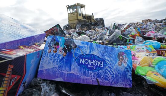 Counterfeit toys destroyed in Kaliningrad Region