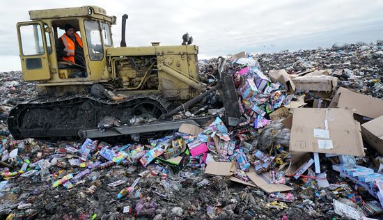 Counterfeit toys destroyed in Kaliningrad Region