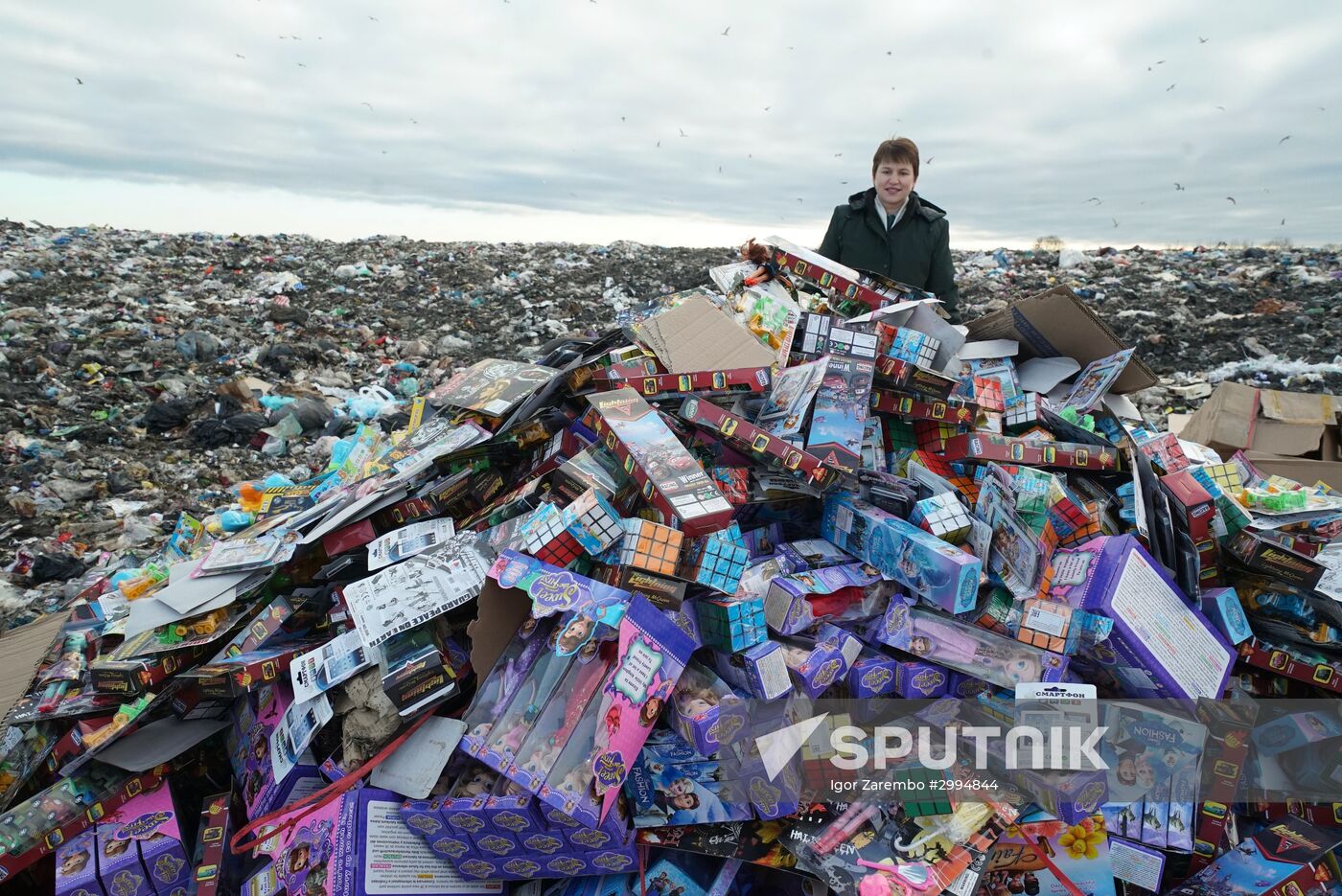 Counterfeit toys destroyed in Kaliningrad Region