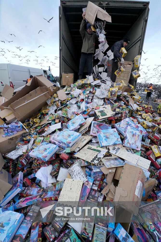 Counterfeit toys destroyed in Kaliningrad Region