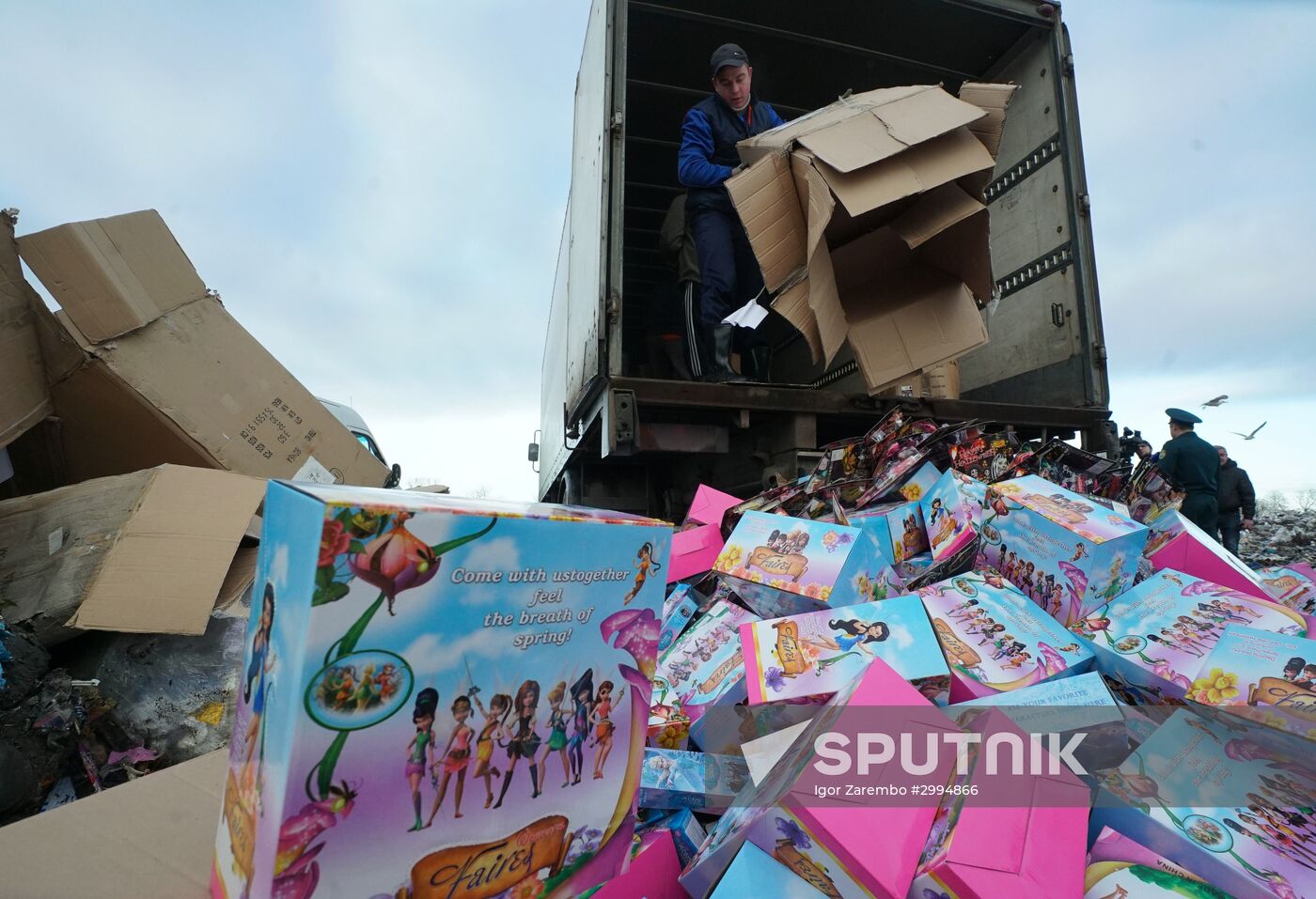 Counterfeit toys destroyed in Kaliningrad Region