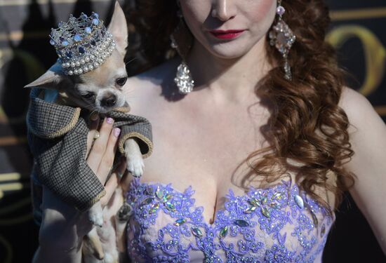 Moscow hosts Beauty of Russia 2016 pageant finals