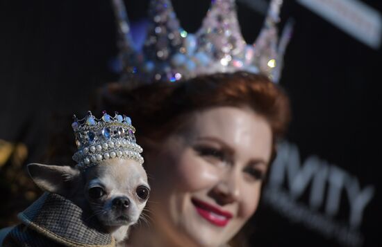 Moscow hosts Beauty of Russia 2016 pageant finals
