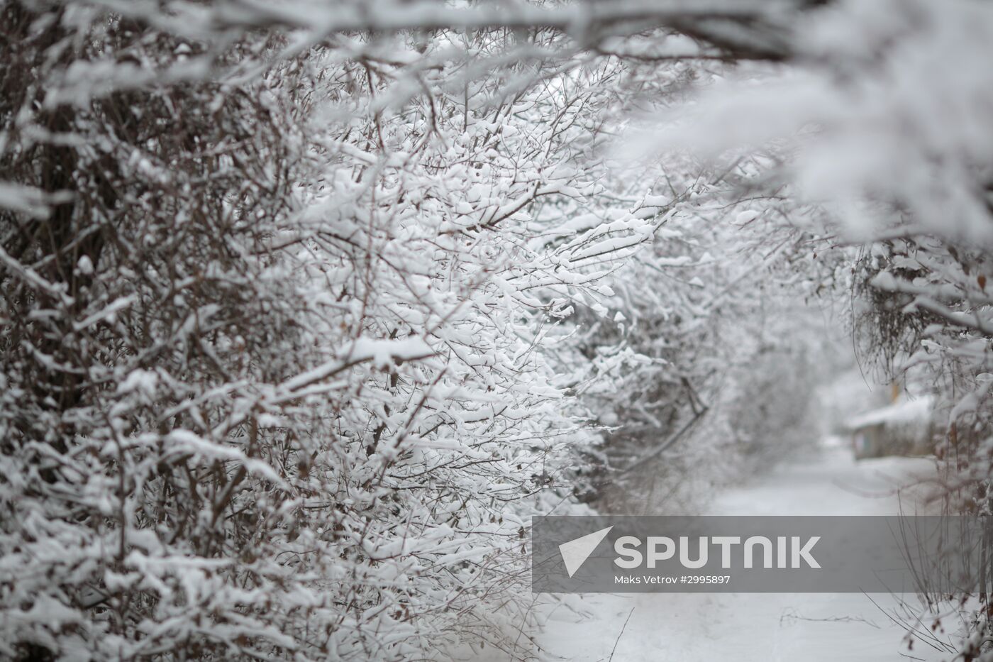 Winter in Crimea