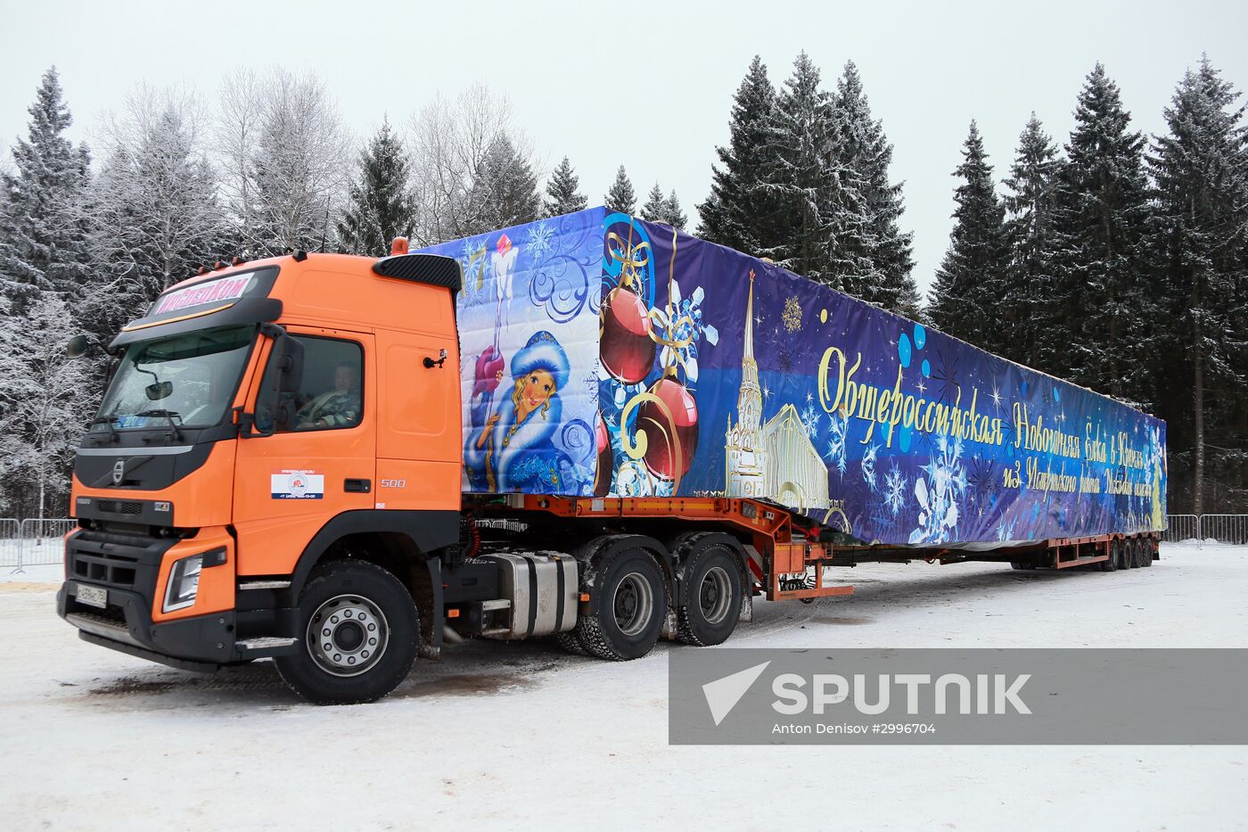 Russia's main Christmas tree hauled to Kremlin