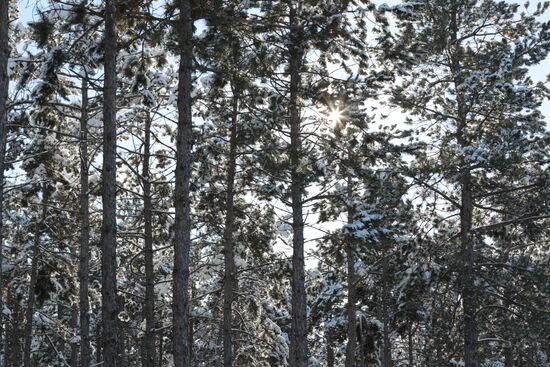 Winter in Crimea