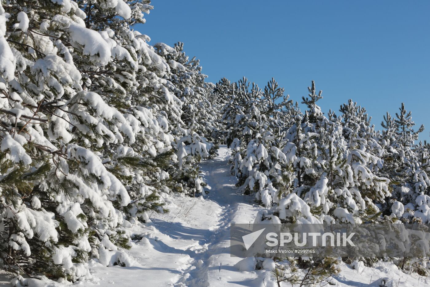 Winter in Crimea