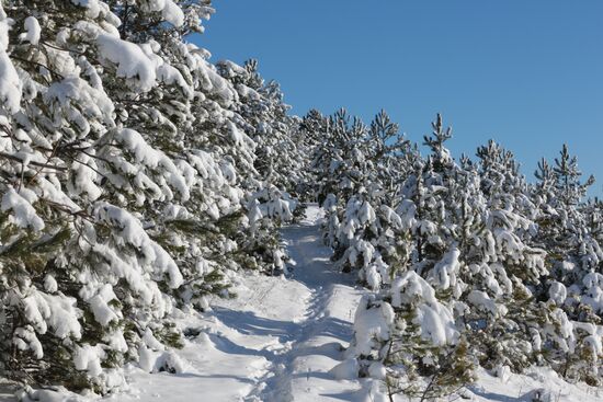 Winter in Crimea