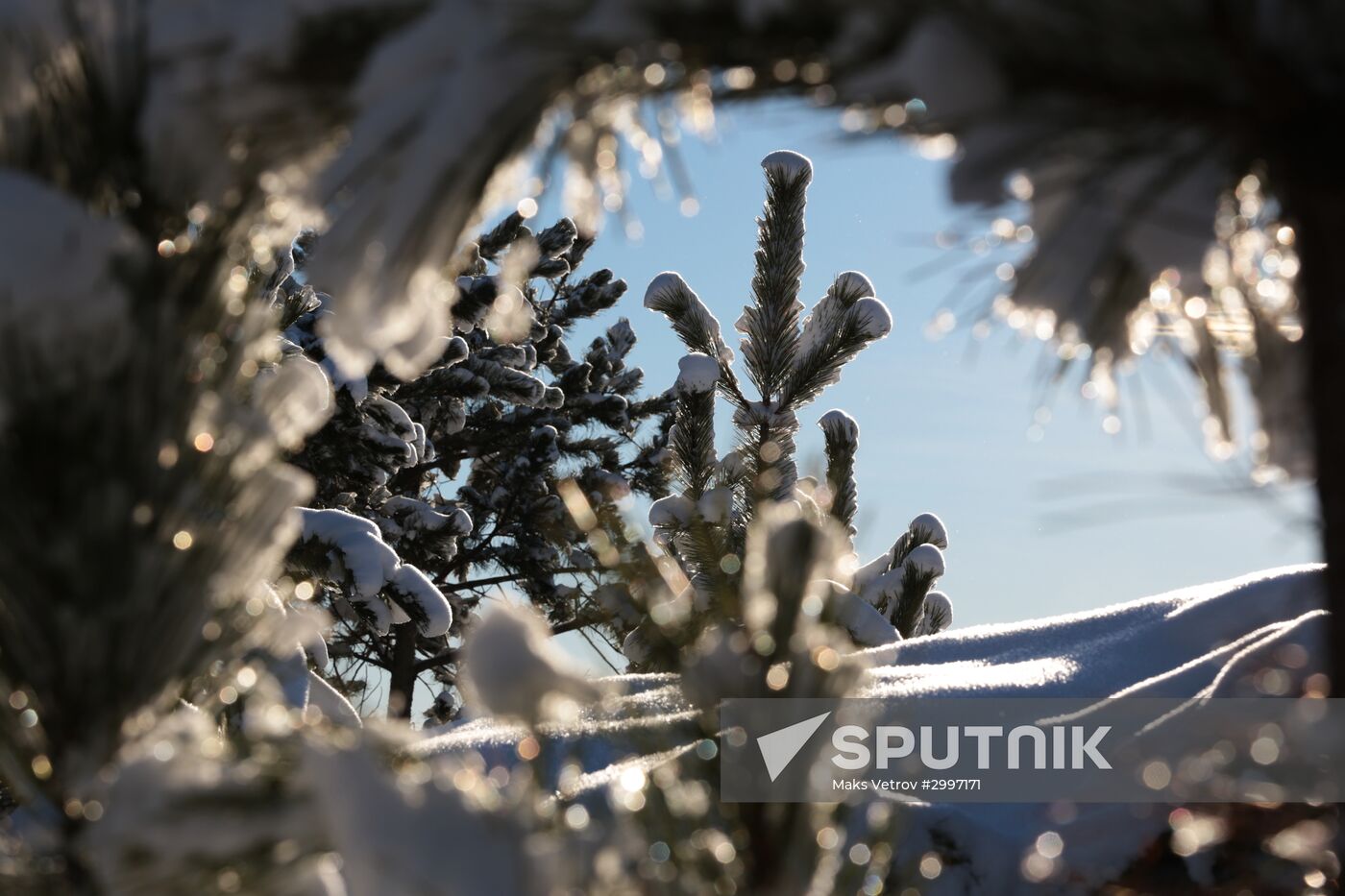 Winter in Crimea