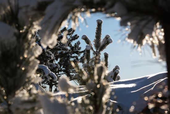 Winter in Crimea
