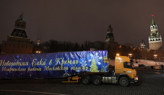 New Year fir tree delivered to Kremlin