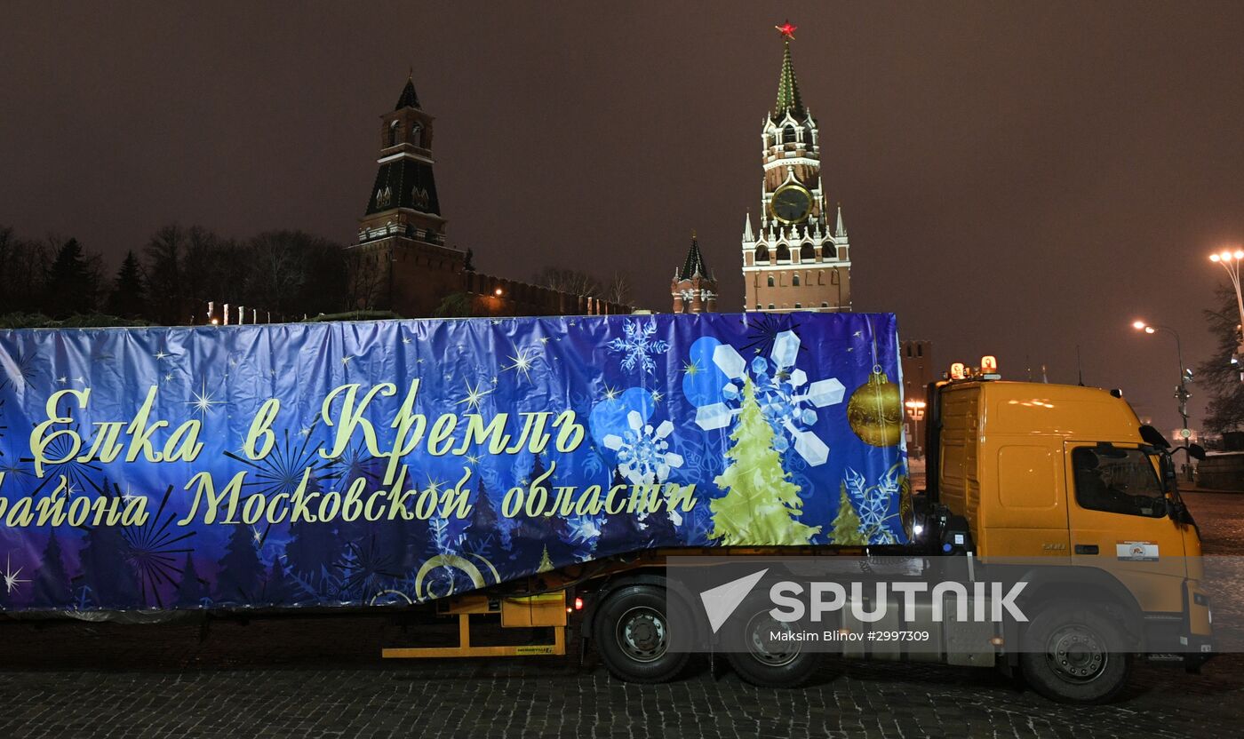 New Year fir tree delivered to Kremlin