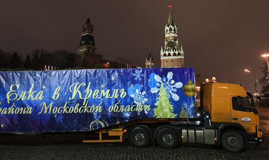 New Year fir tree delivered to Kremlin