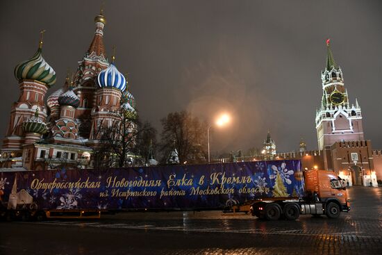 New Year fir tree delivered to Kremlin