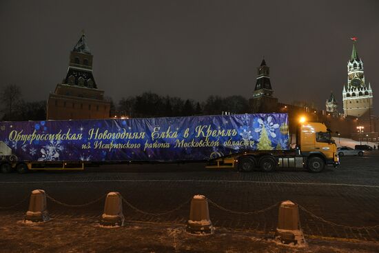 New Year fir tree delivered to Kremlin