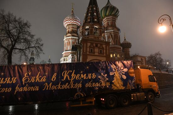 New Year fir tree delivered to Kremlin