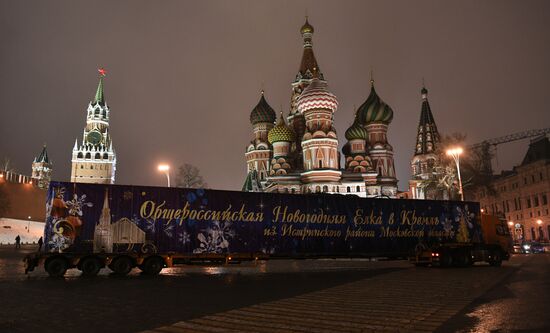 New Year fir tree delivered to Kremlin