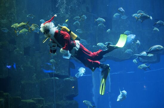Diver dressed as Santa Claus welcomes visitors at the Paris Aquarium