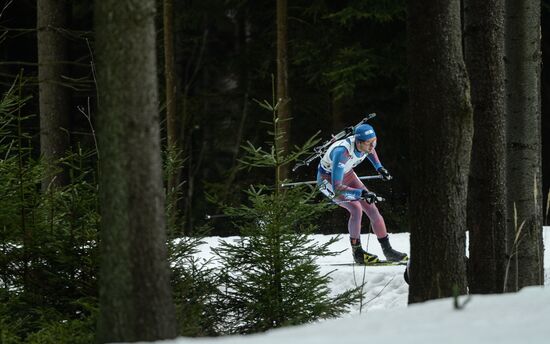 2016–17 Biathlon World Cup 3. Men's mass start
