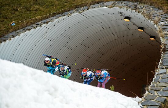 2016–17 Biathlon World Cup 3. Men's mass start