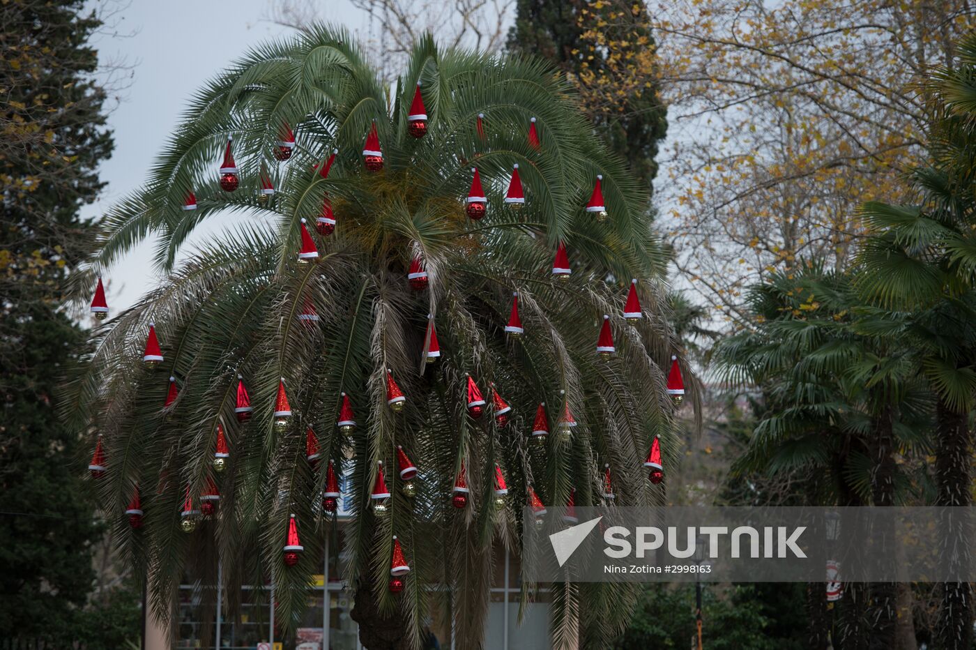 Sochi decorated for holiday season