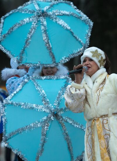 Meeting Russian Father Frost and Finnish Joulupukki in Leningrad Region