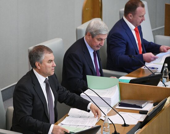 Last plenary meeting of State Duma fall session