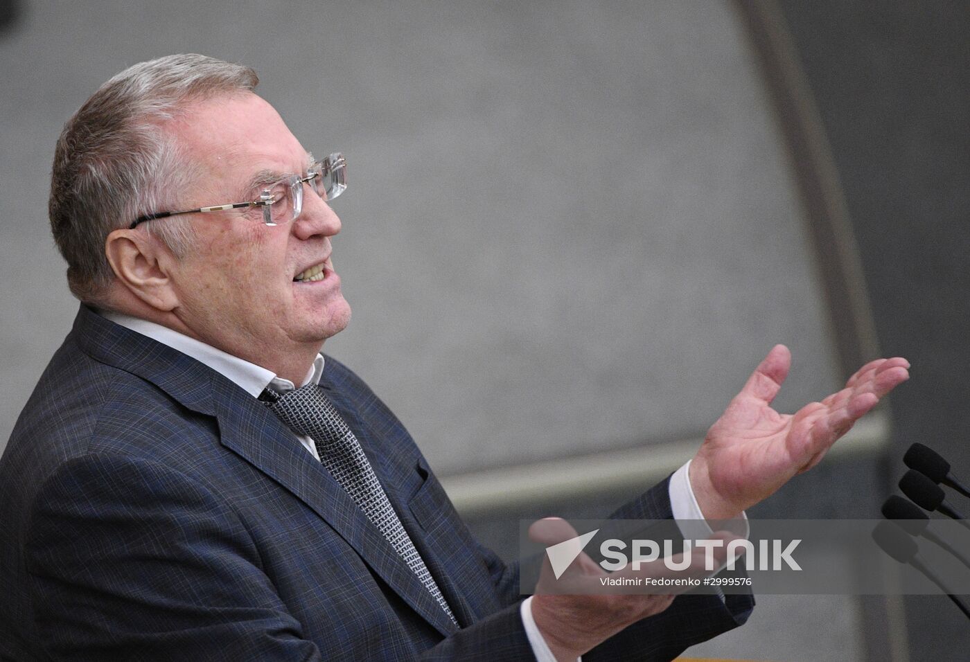 Last plenary meeting of State Duma fall session