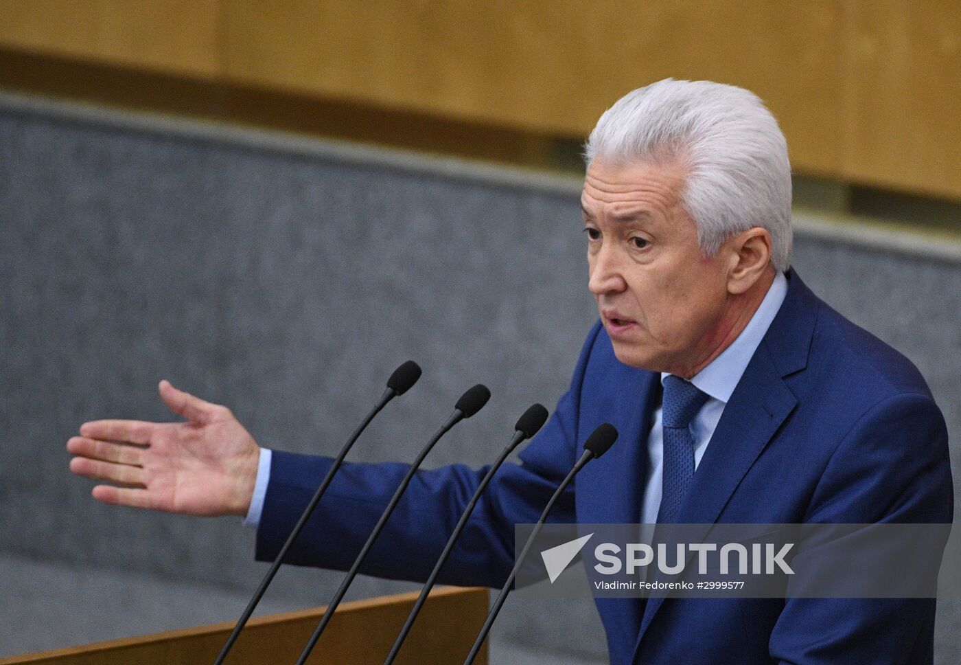 Last plenary meeting of State Duma fall session