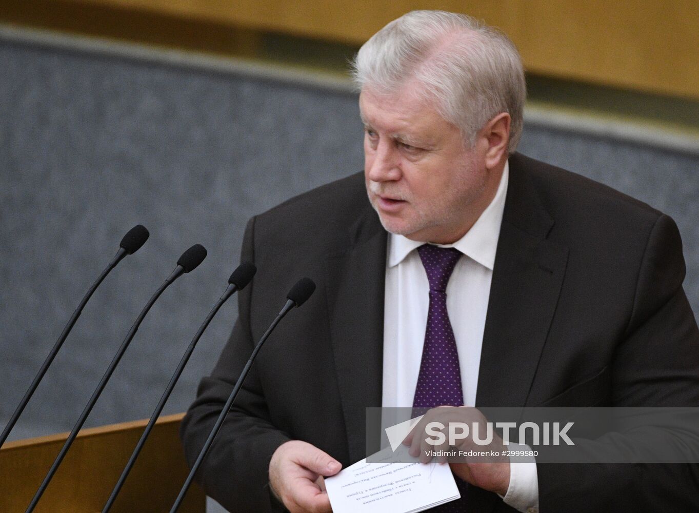 Last plenary meeting of State Duma fall session