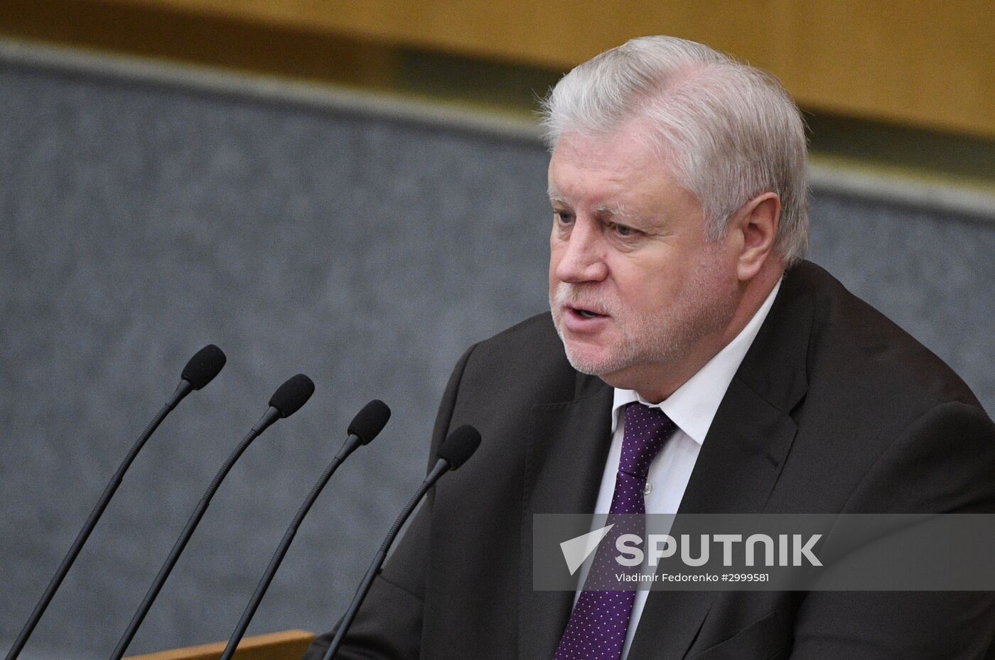 Last plenary meeting of State Duma fall session