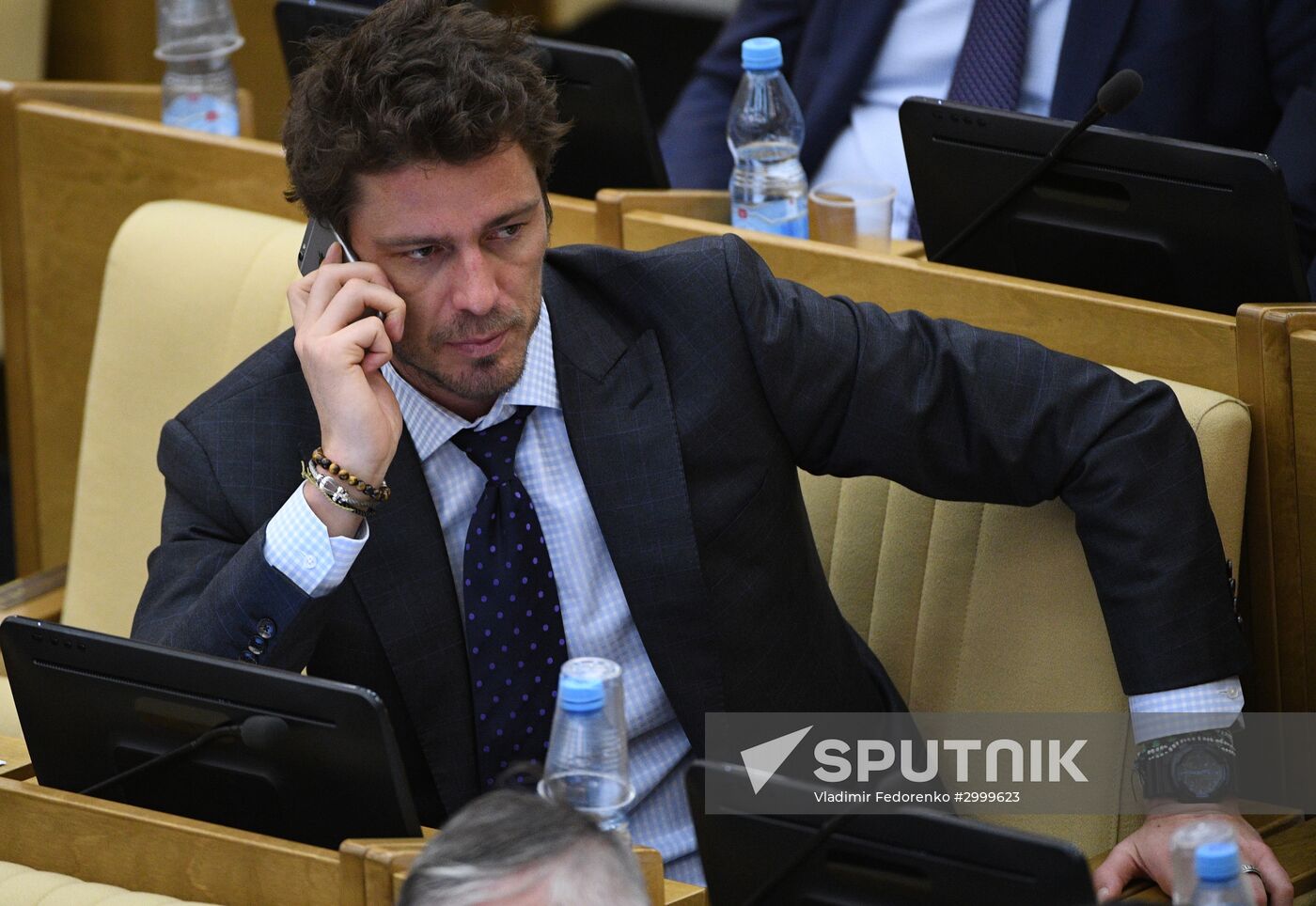 Last plenary meeting of State Duma fall session