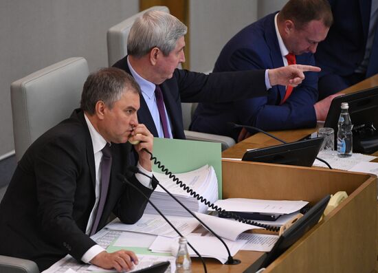 Last plenary meeting of State Duma fall session