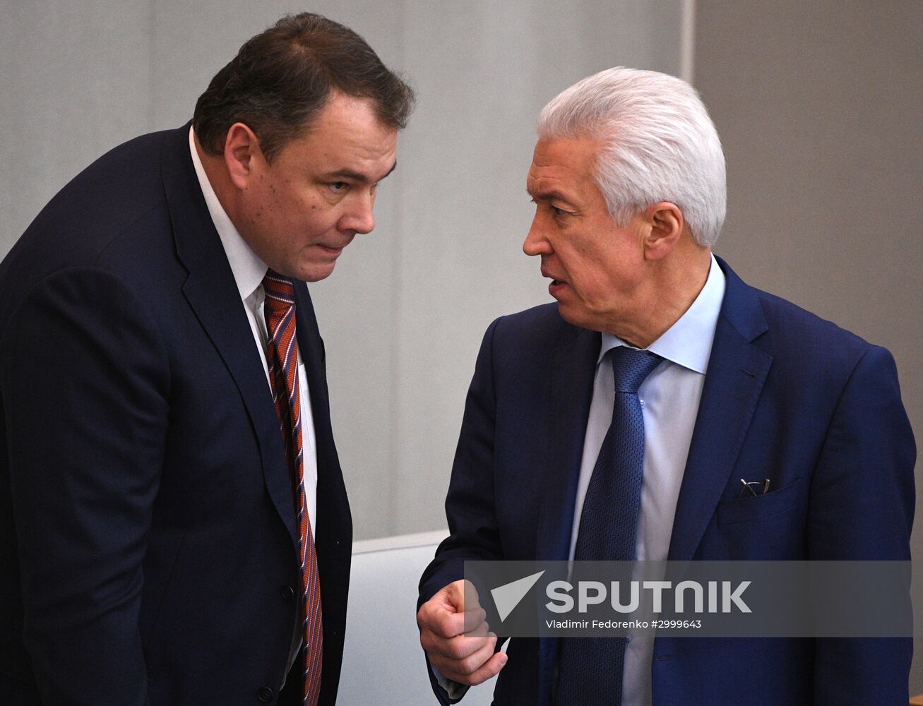 Last plenary meeting of State Duma fall session