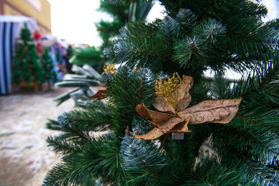 Christmas market in Tskhinval