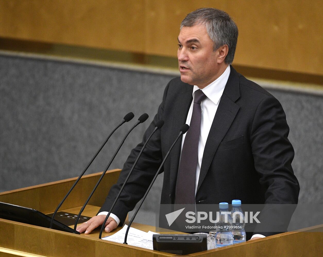 Last plenary meeting of State Duma fall session