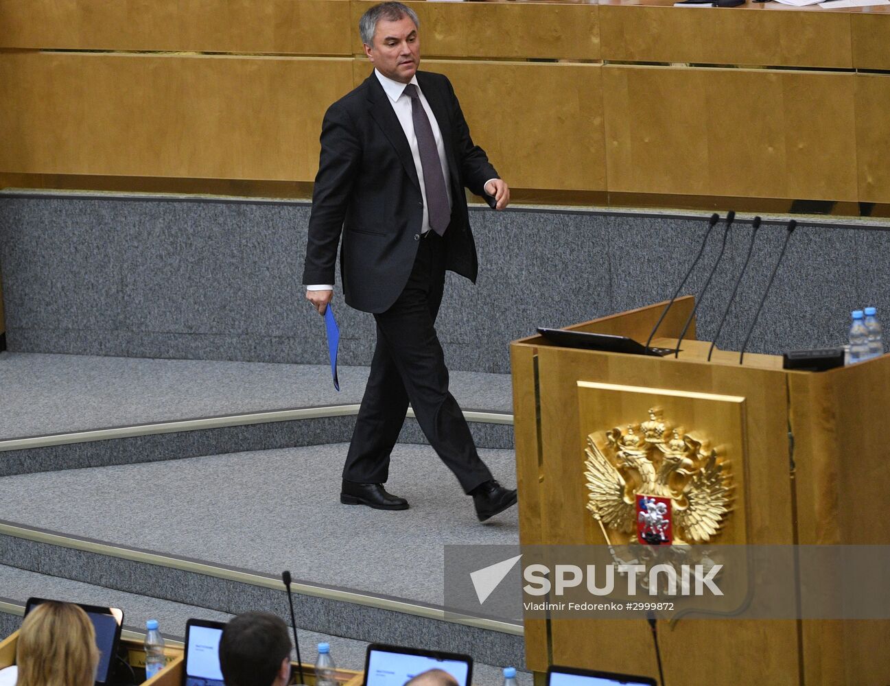 Last plenary meeting of State Duma fall session
