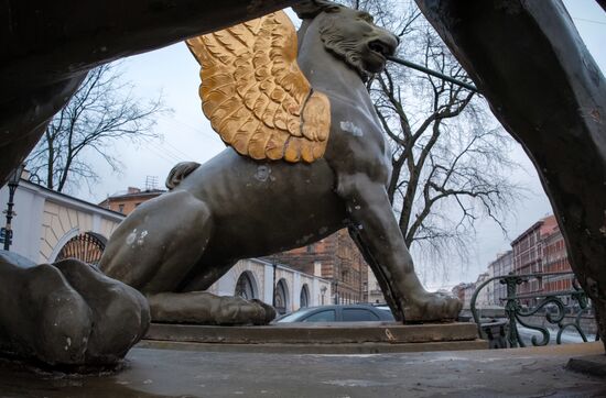 Griffin statues on Bank Bridge in St. Petersburg