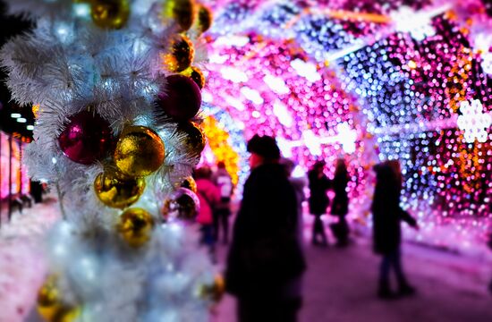 Moscow ahead of New Year